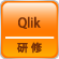 Qlik研修